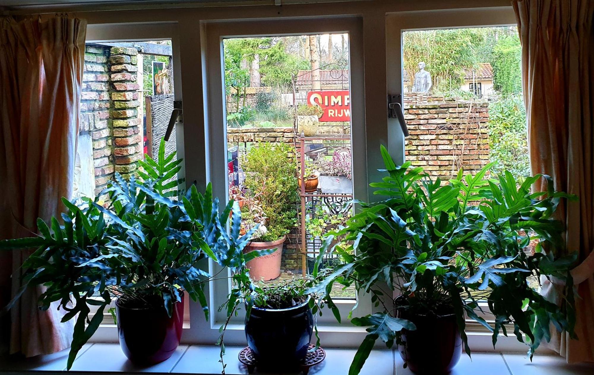L'Amour Pur Schoorl Habitación foto
