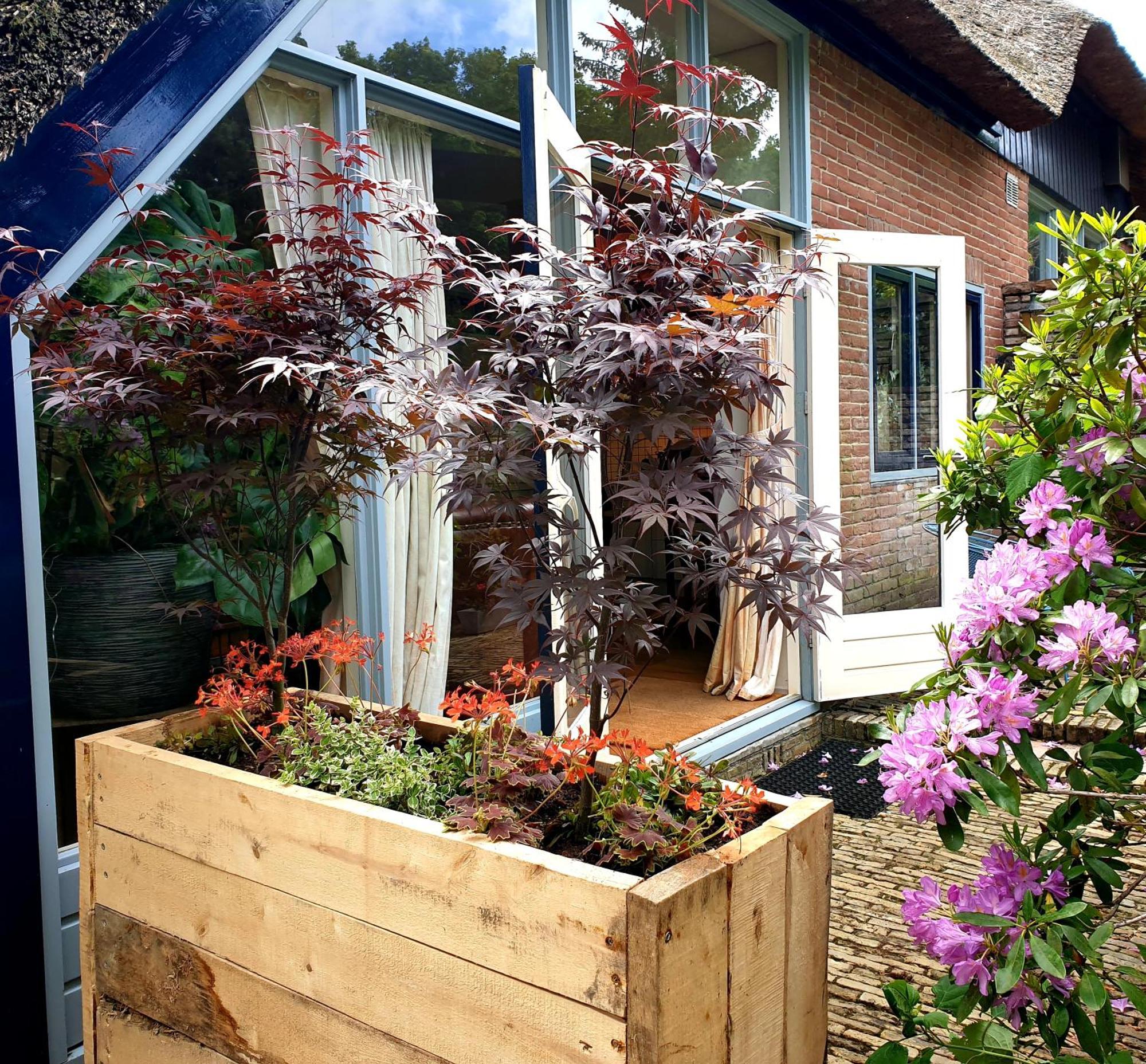 L'Amour Pur Schoorl Habitación foto